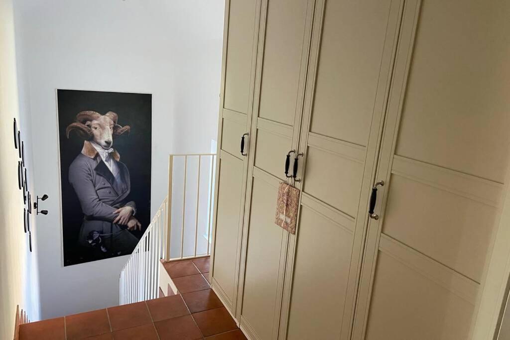 Terrassen Appartement Ueber Den Daechern Von Krems Exteriör bild